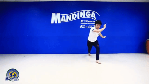 Esquiva - CapoeiraMandingaTW.gif
