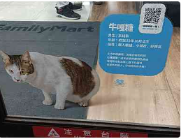 2025.02.17 貓貓在全家