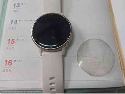 2025.03.16 致我可愛的vivoactive5錶面