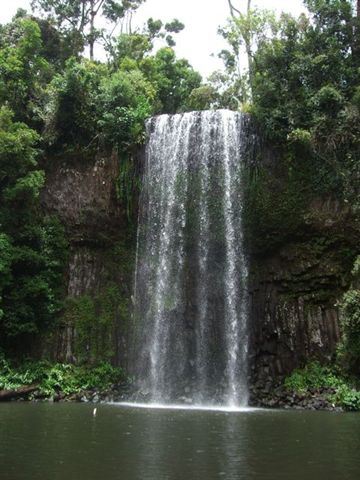 Millaa Millaa Fall.JPG