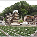 990307-泰安-住宿-慈夢柔渡假村-旁一片草莓園地.jpg