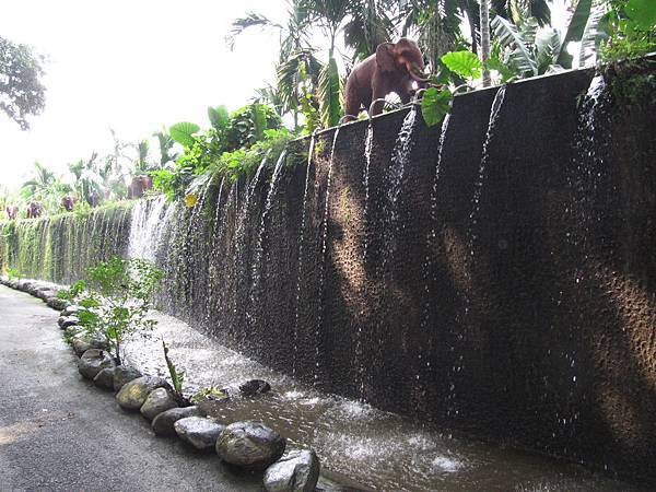 8大森林樂園