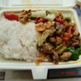 05Jan09 ~ My Lunch Box 辡子雞丁飯