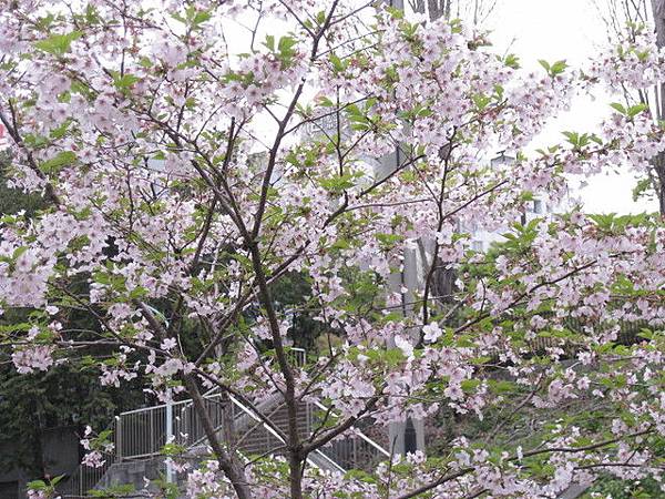 東京滯在一日目