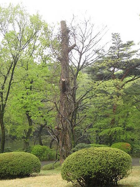 東京滯在三日目