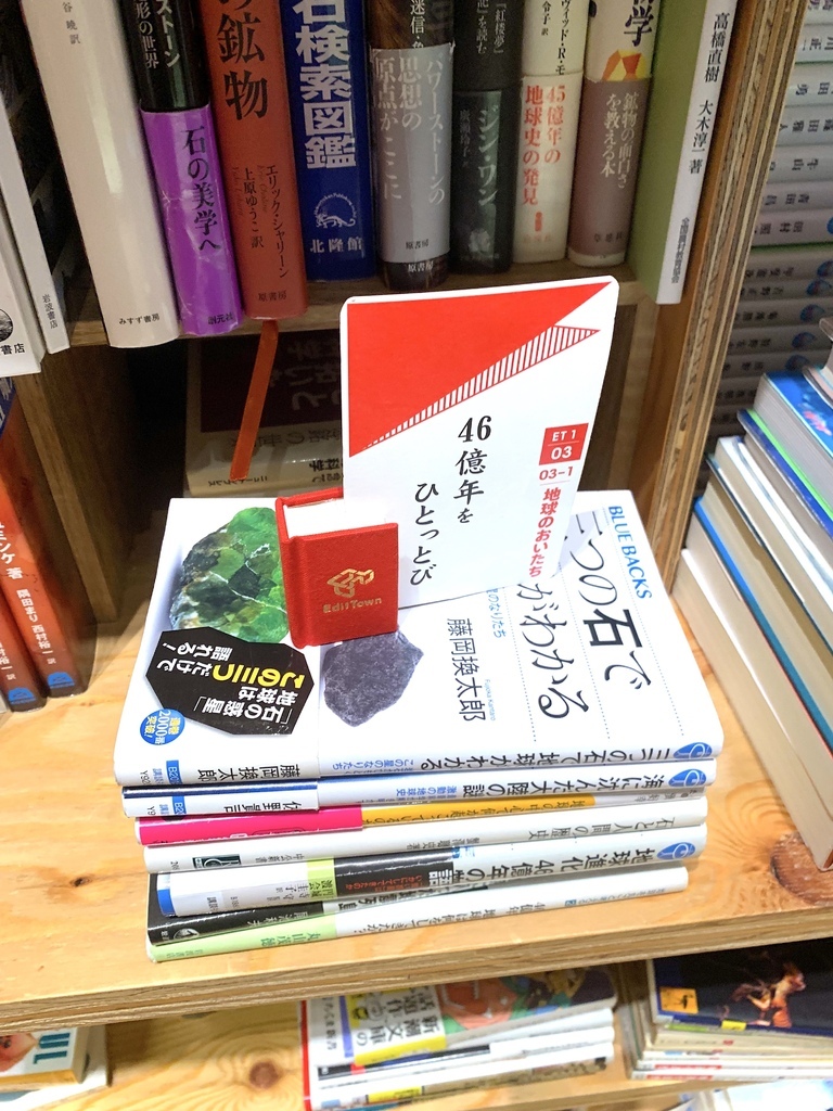 ＜日本＞2023全家人解封日本行~角川武藏野博物館 文豪野犬