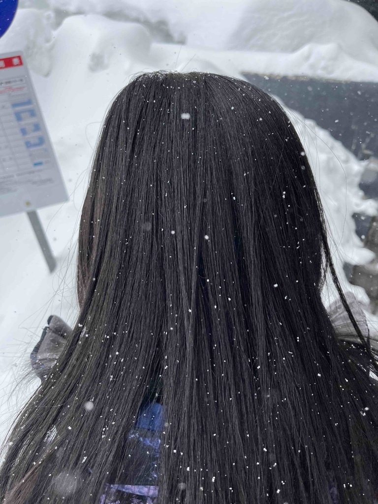 ＜日本＞2023全家人解封日本行~星野磐梯山滑雪 夜晚比白天