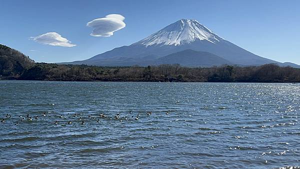 【2023 東京八天七夜自由行】Day 4 天空的鳥居❥西湖