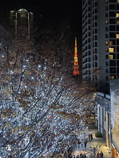 【2023 東京八天七夜自由行】Day 5 河口湖閒逛🎄六本