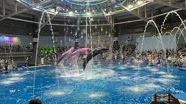 【2023 東京八天七夜自由行】Day 7 品川水族館 Ma