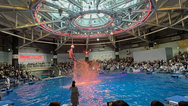 【2023 東京八天七夜自由行】Day 7 品川水族館 Ma