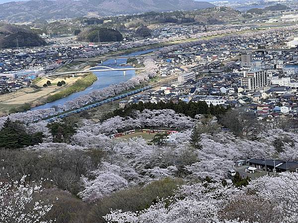 【2024 東北賞櫻+東京七天六夜自由行】Day 2 宮城白