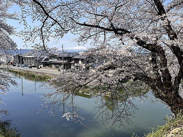 【2024 東北賞櫻+東京七天六夜自由行】Day 3 山形霞