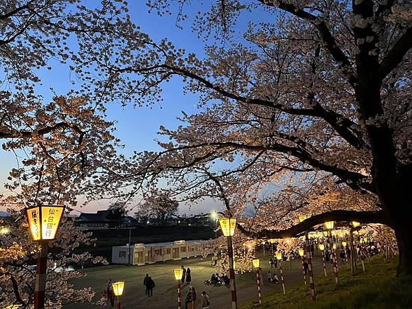 【2024 東北賞櫻+東京七天六夜自由行】Day 3 山形霞