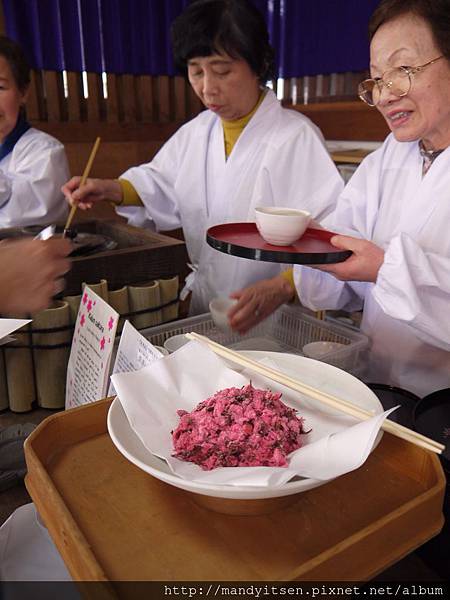 桜湯販售處