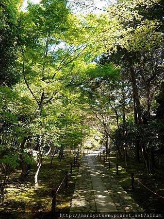 green green