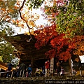 高雄山神護寺