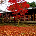 東福寺一隅