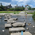 鴨川三角洲烏龜跳石