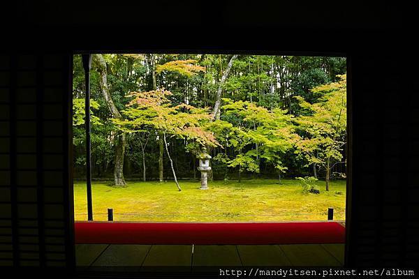 高桐院庭園