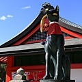 狐