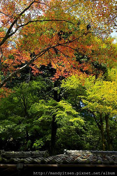 高雄山茶屋硯石亭