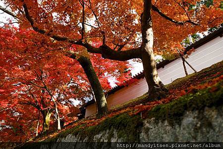 紅葉紀行 曼殊院門跡篇 Mandy 京都進行式 痞客邦 紅葉紀行 曼殊院門跡篇 Mandy 京都進行式 痞客邦
