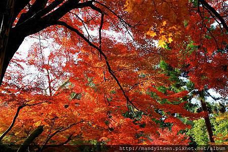 紅葉紀行 曼殊院門跡篇 Mandy 京都進行式 痞客邦 紅葉紀行 曼殊院門跡篇 Mandy 京都進行式 痞客邦