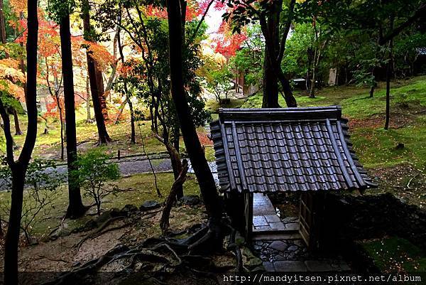 西芳寺向上関