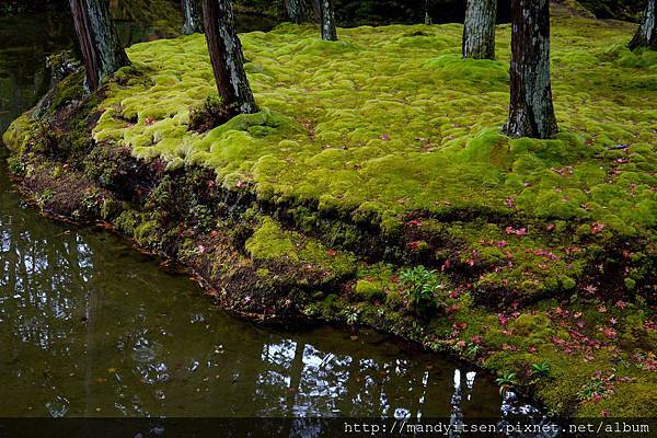 西芳寺池泉迴遊式庭園一隅