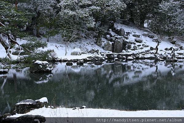 曹源池の雪化粧