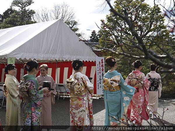 華道池坊的獻花式即將開始