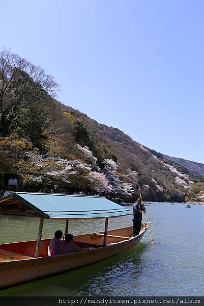 乘船賞櫻去