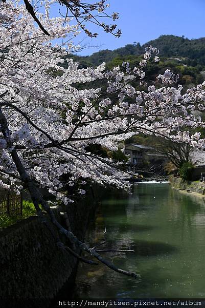 中之島橋畔