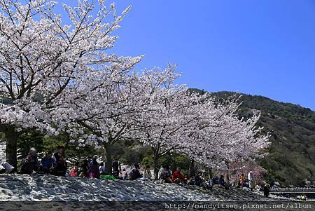 中之島公園河堤