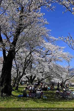 お花見 嵐山 Mandy 京都進行式 痞客邦 お花見 嵐山 Mandy 京都進行式 痞客邦