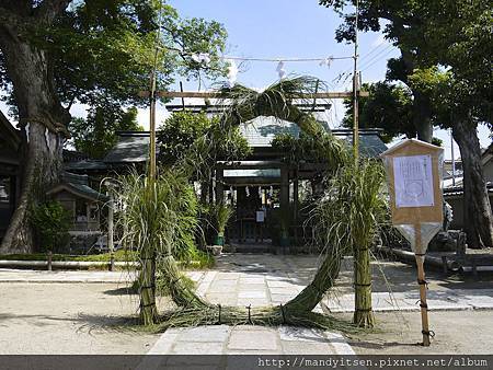 斎宮神社的茅の輪