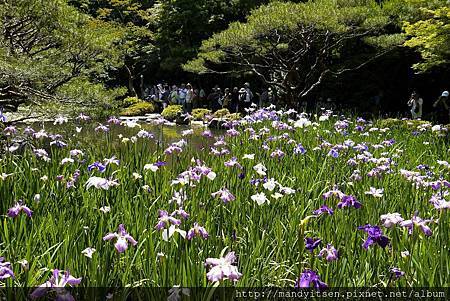 平安神宮西神苑 平安神宮西神苑