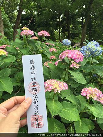 到藤森神社賞紫陽花 Mandy 京都進行式 痞客邦