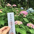 紫陽花與賞花券