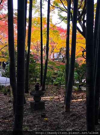 圓光寺庭園一隅