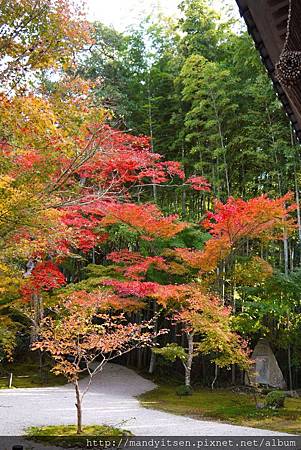 圓光寺庭園與竹林