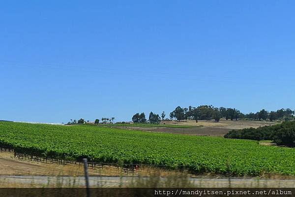 加州Santa Barbara酒鄉
