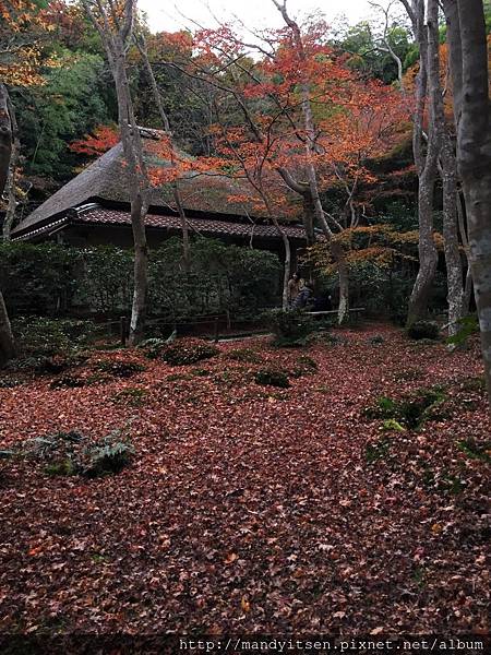 祇王寺主建築：草庵