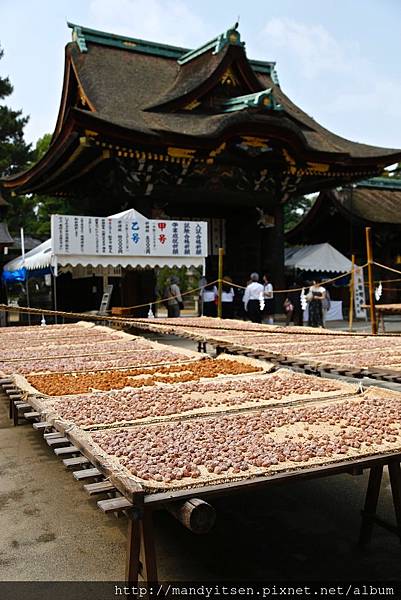 北野天滿宮本殿前曬梅子