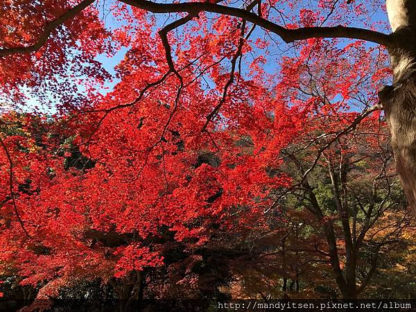 嵐山龜山公園