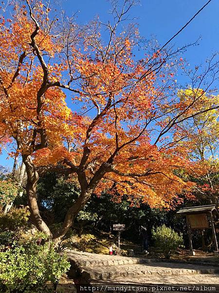 嵐山龜山公園