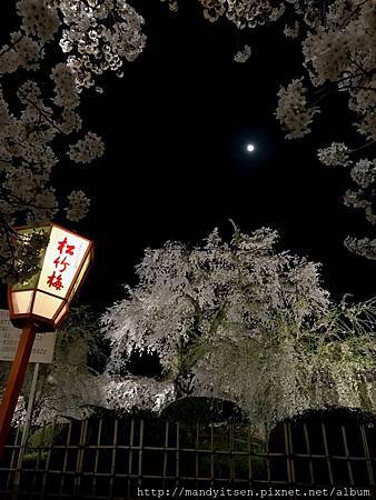 祇園枝垂桜