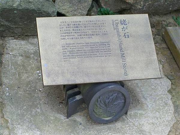 CIMG0556