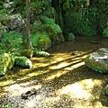 CIMG0696